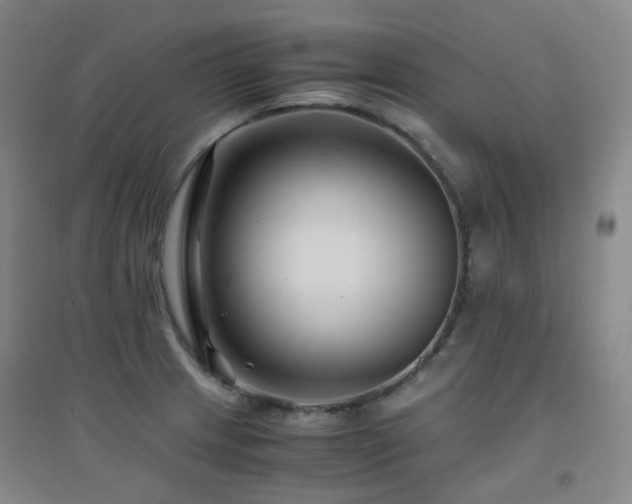X0000094431233200711081218