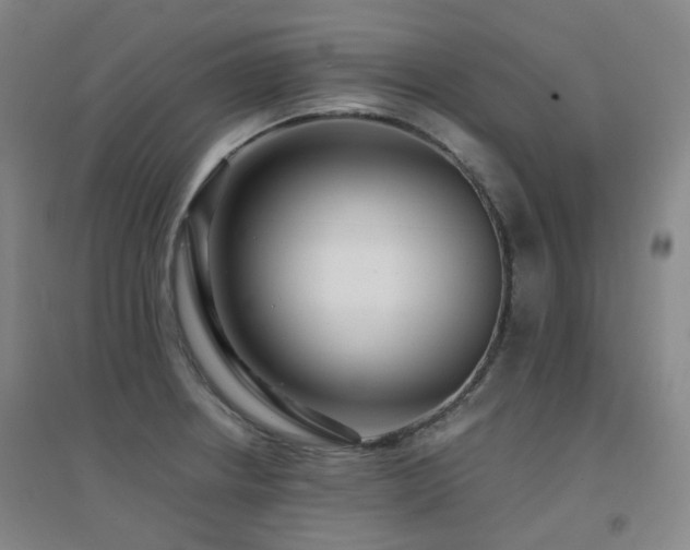 X0000094431234200711081218