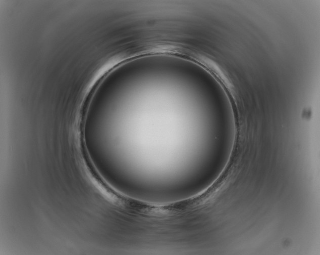 X0000094431235200711081218