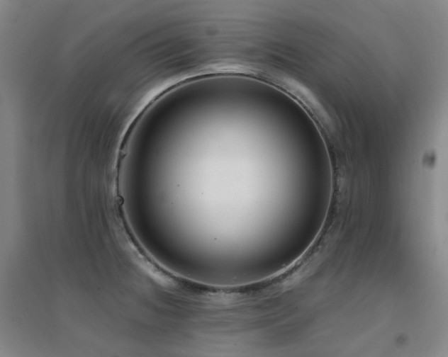 X0000094431236200711081218