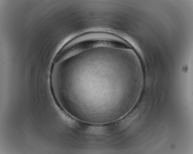 X0000094431237200711081218
