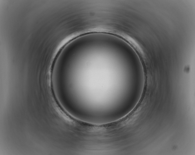 X0000094431238200711081218