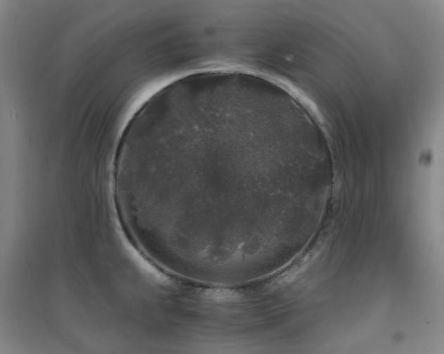 X0000094431239200711081218