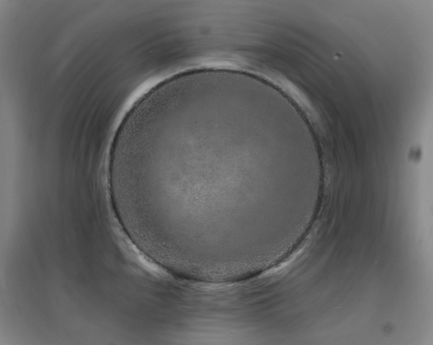 X0000094431240200711081218