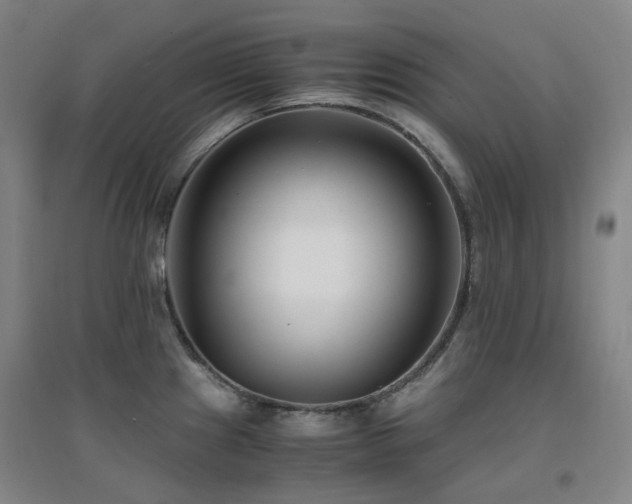 X0000094431241200711081218