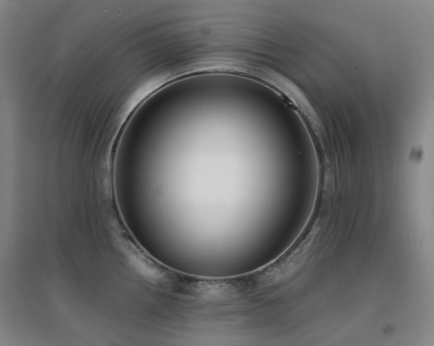 X0000094431242200711081218