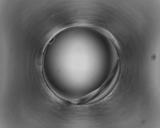 X0000094431244200711081219