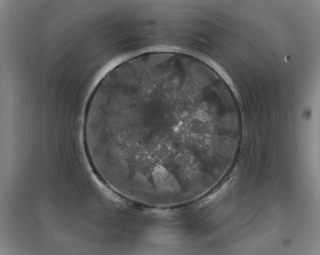 X0000094431245200711081219