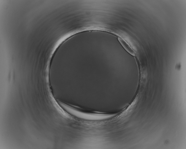 X0000094431246200711081219