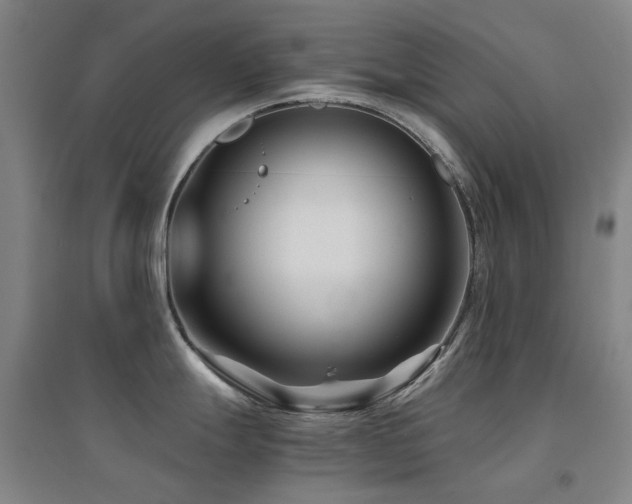 X0000094431247200711081219