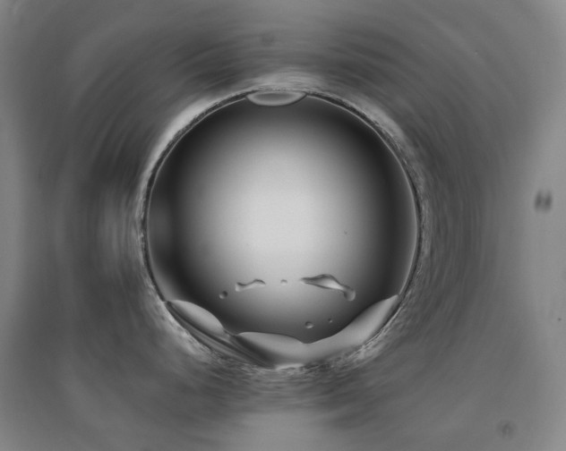 X0000094431248200711081219