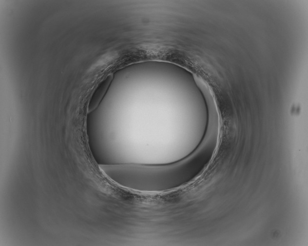 X0000094431249200711081218