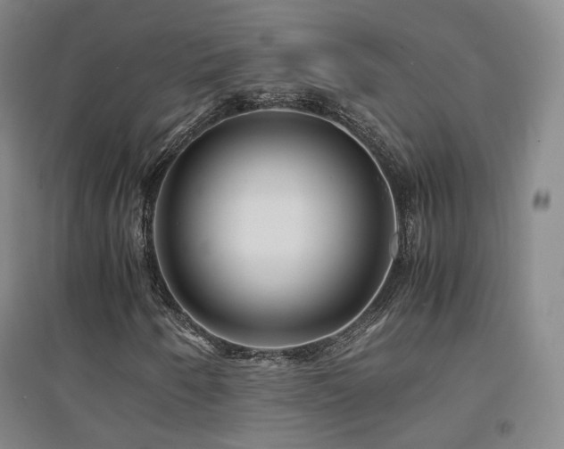 X0000094431250200711081218