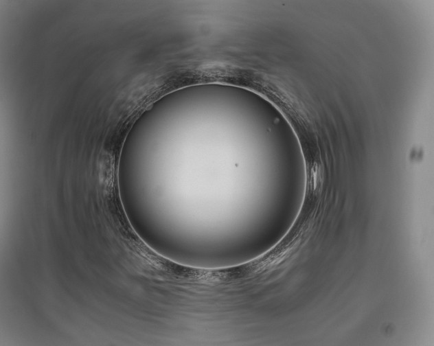 X0000094431251200711081218