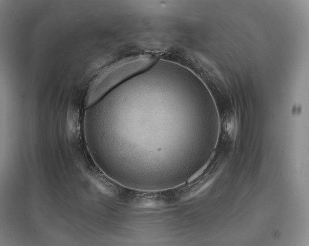 X0000094431252200711081218