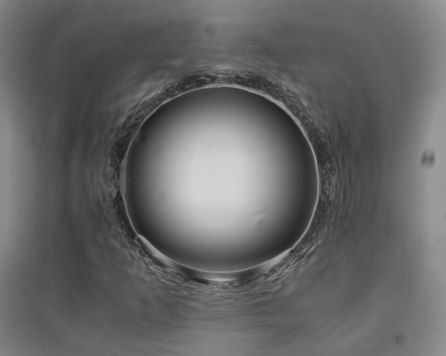 X0000094431253200711081218