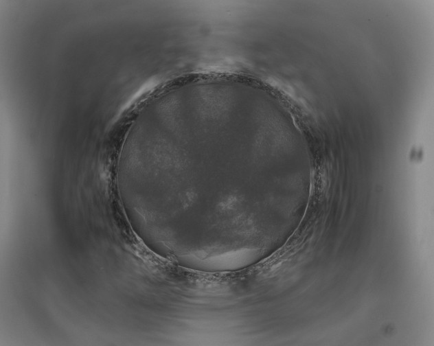 X0000094431254200711081218