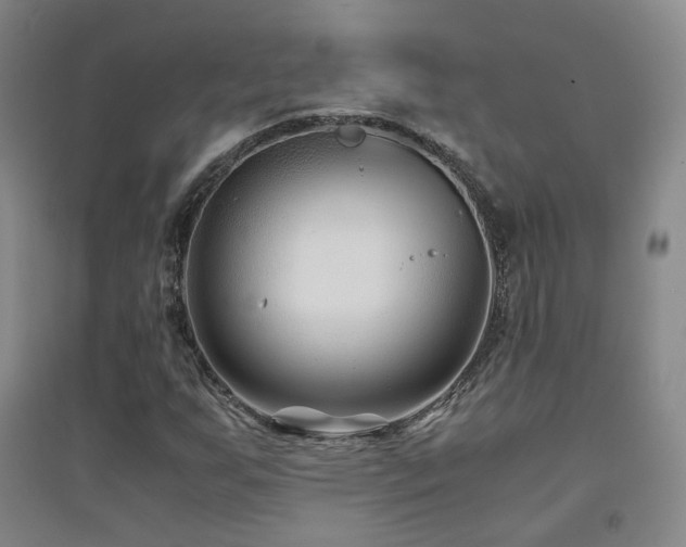 X0000094431255200711081218