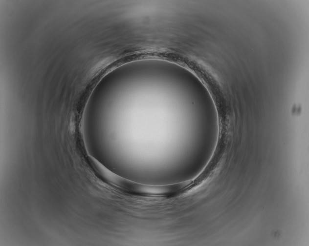 X0000094431257200711081218