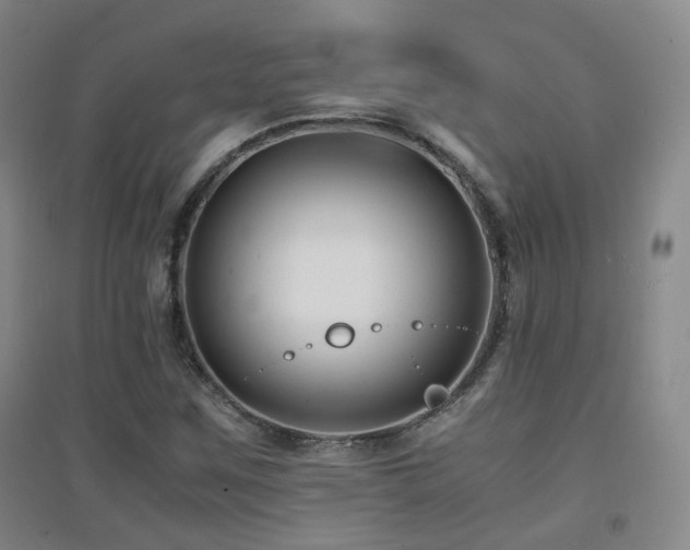 X0000094431259200711081218