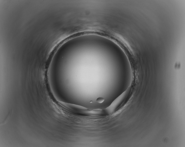 X0000094431260200711081218