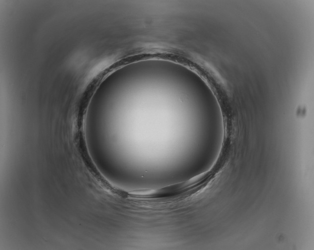 X0000094431261200711081218