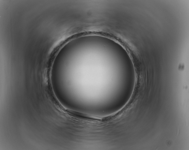 X0000094431262200711081218