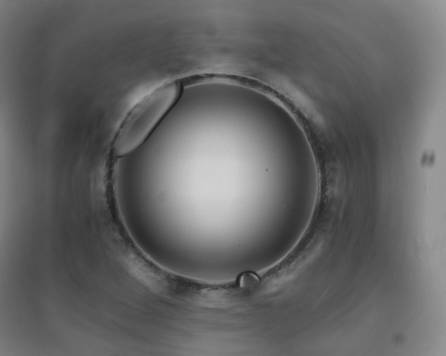 X0000094431264200711081218