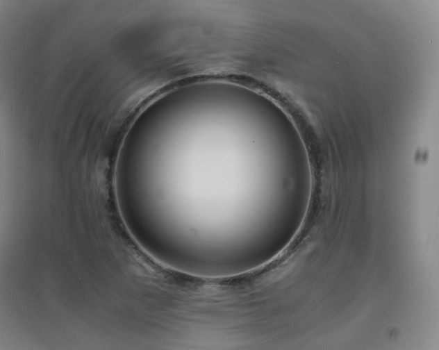 X0000094431265200711081218