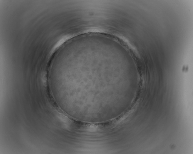 X0000094431266200711081218