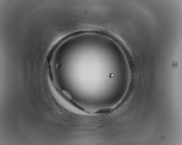 X0000094431267200711081218