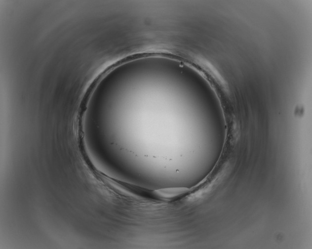 X0000094431268200711081218