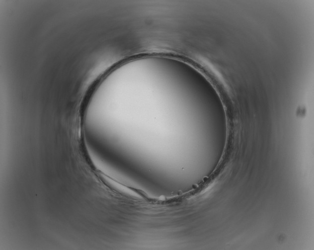 X0000094431269200711081218