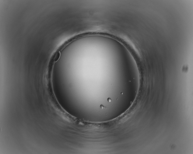 X0000094431270200711081218