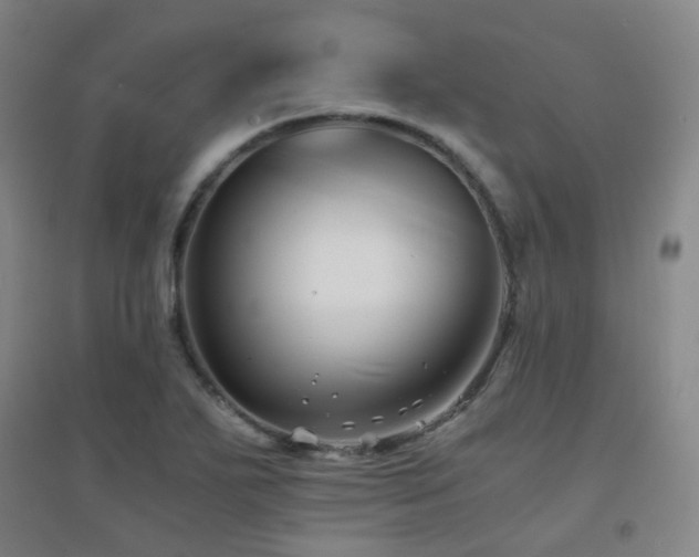 X0000094431271200711081218