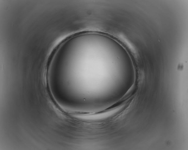 X0000094431272200711081218