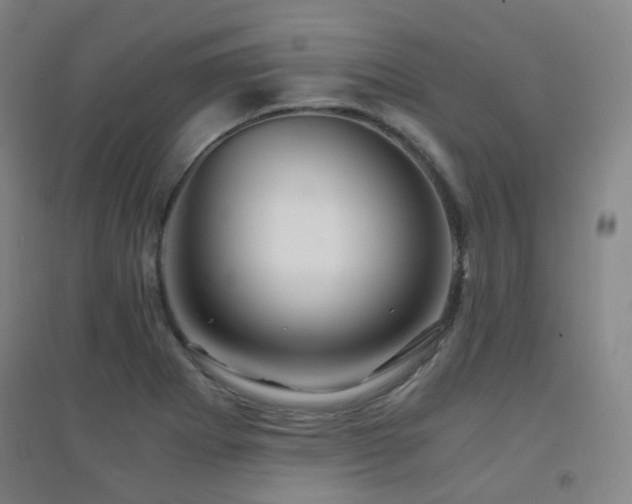X0000094431273200711081218