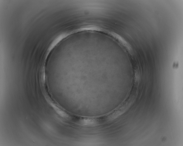 X0000094431274200711081218