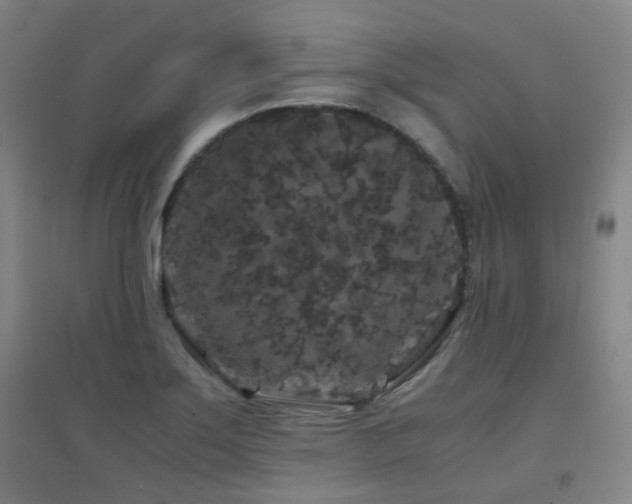 X0000094431275200711081218