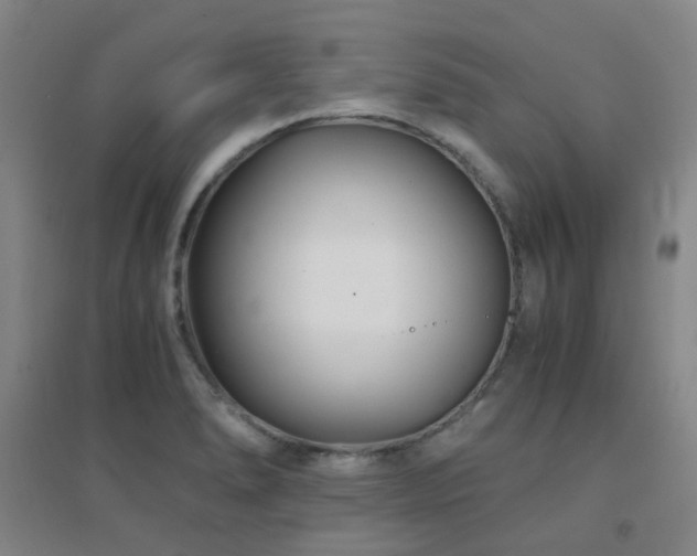 X0000094431278200711081217
