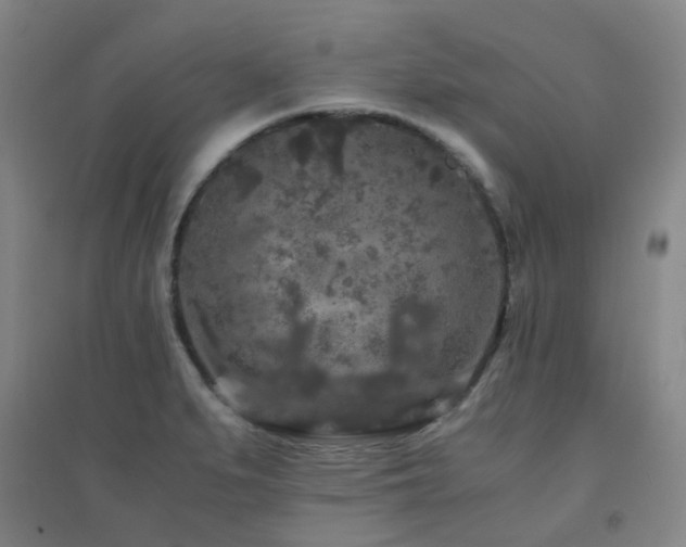 X0000094431279200711081217