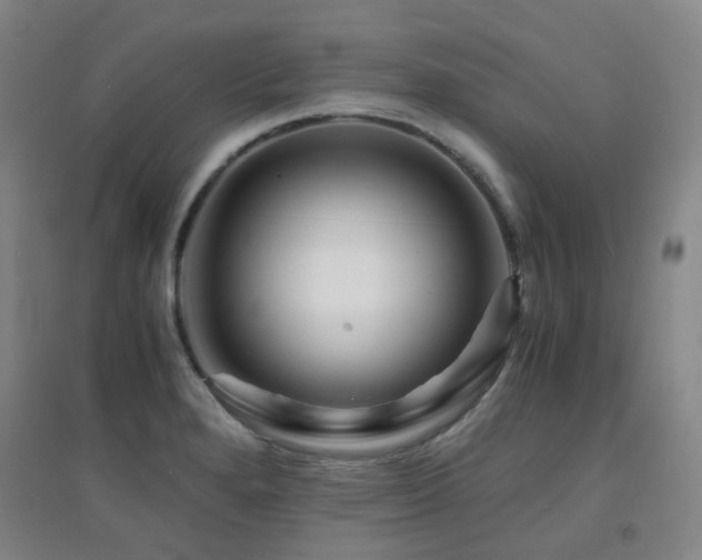 X0000094431280200711081217
