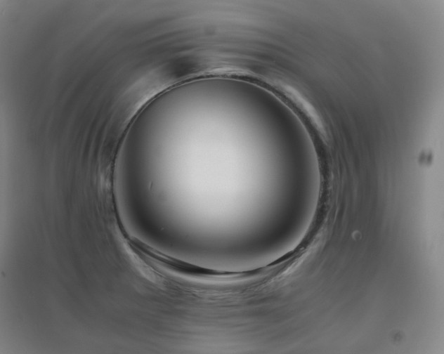 X0000094431281200711081217