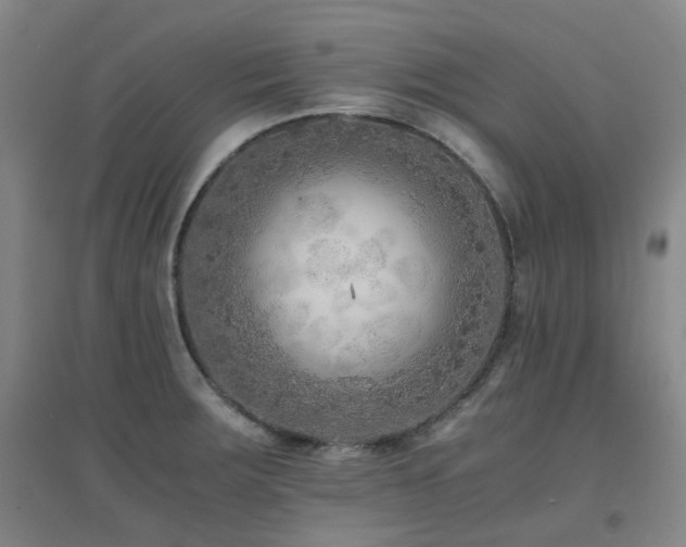 X0000094431283200711081217