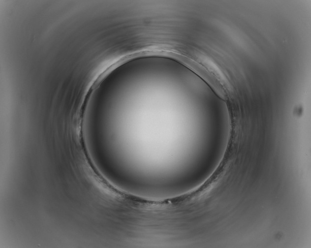 X0000094431284200711081217