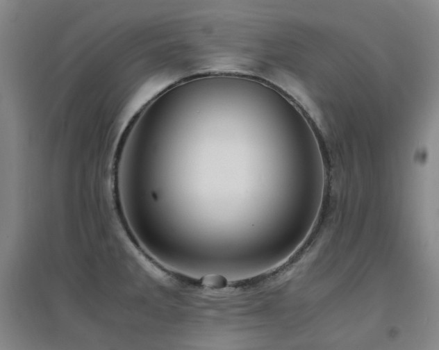 X0000094431285200711081217