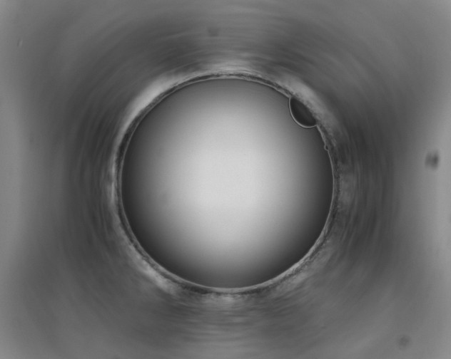 X0000094431286200711081217