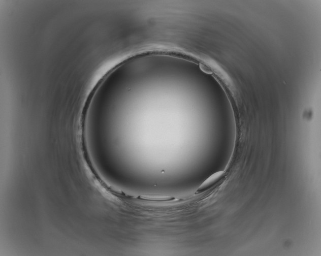 X0000094431287200711081217