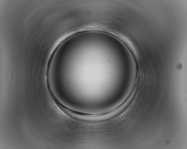 X0000094431288200711081217