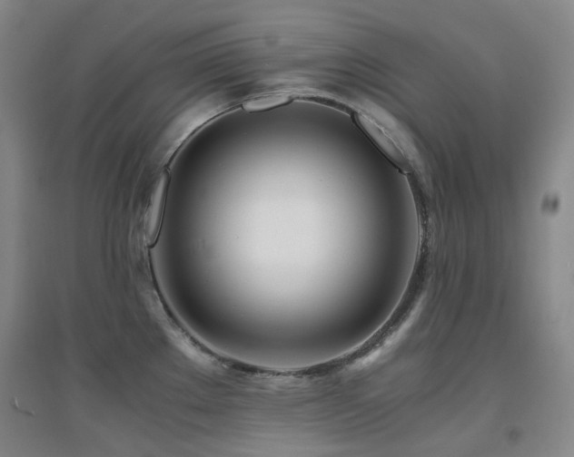 X0000094431289200711081217